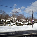 0120大沼公園午餐   (2).JPG