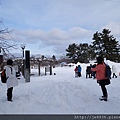 0120大沼公園 (29).JPG