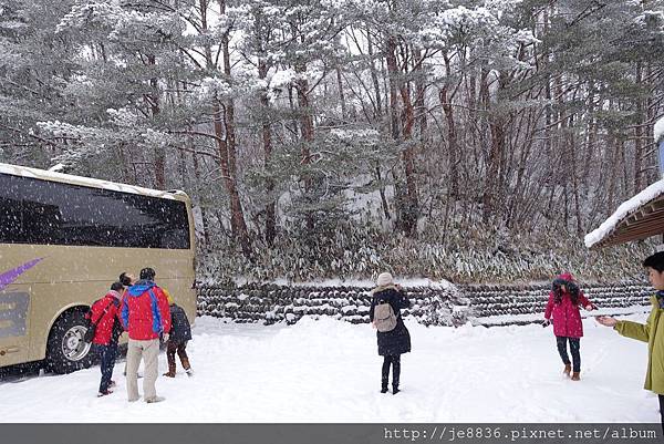 田澤湖20.jpg