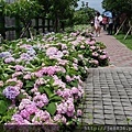 2017泰山黎明花園步道50.jpg