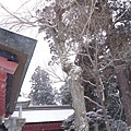 0124塩竈神社27.jpg