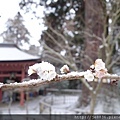 0124塩竈神社33.jpg