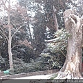 0124塩竈神社40.jpg