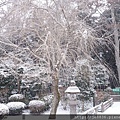 0124塩竈神社41.jpg