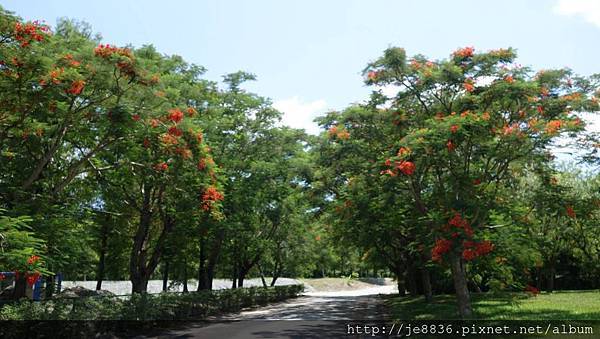 0820花蓮之旅~雲山水 (27).jpg