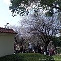 0113志成公園9.jpg