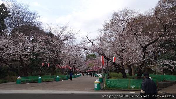 0323上野公園14.jpg