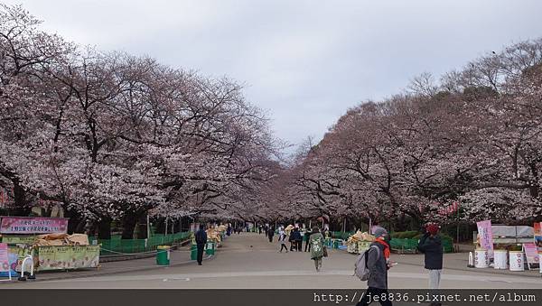 0323上野公園30.jpg