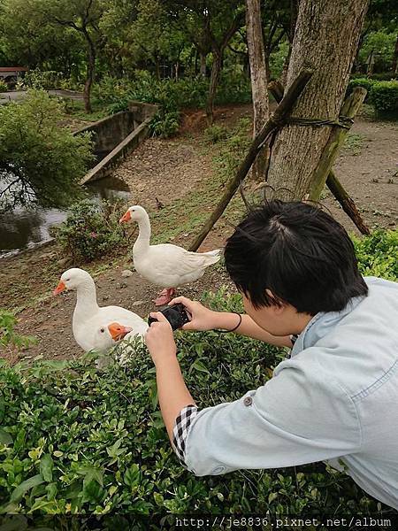 0415養生村20.jpg