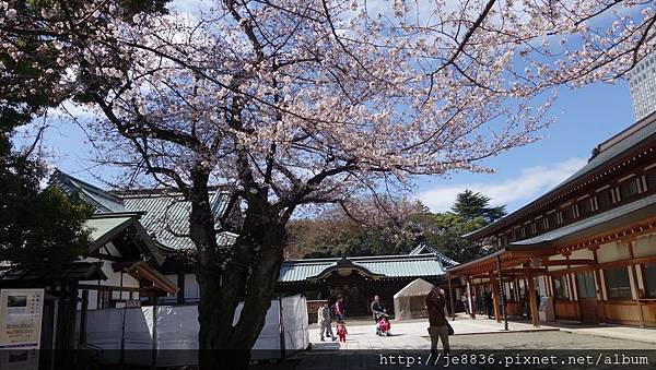 0323靖國神社19.jpg