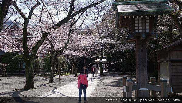 0323靖國神社21.jpg