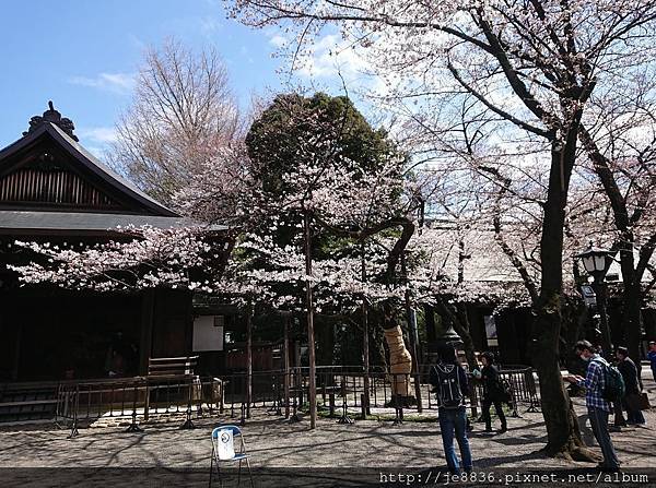 0323靖國神社26.jpg