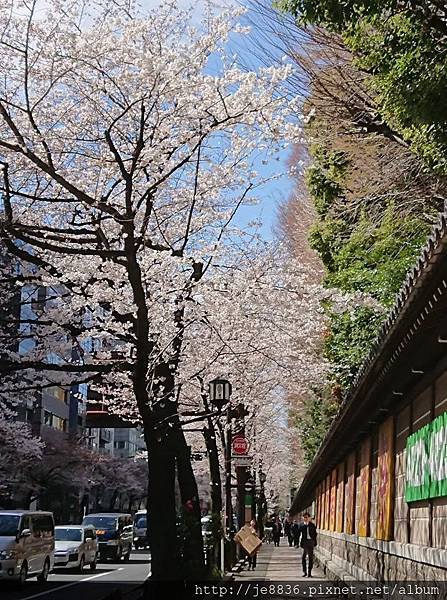 0323靖國神社38.jpg