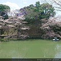 0323靖國神社50.jpg