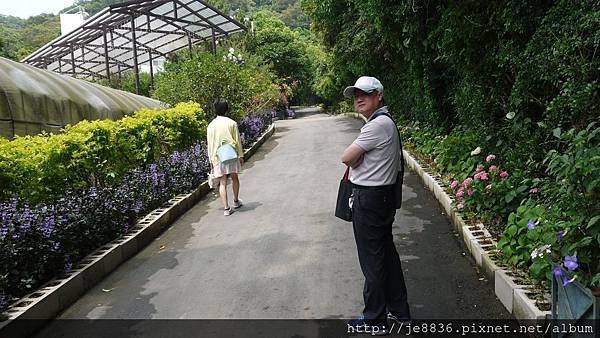 0513關西花鳥園 (7).jpg