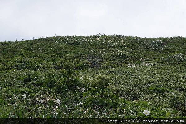 0416北海岸一日遊 (34).jpg