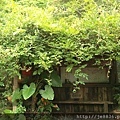 0711卓也小屋54.jpg