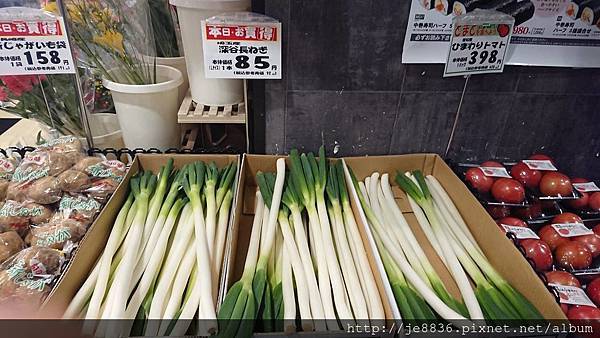 0131金澤-東急飯店18.jpg