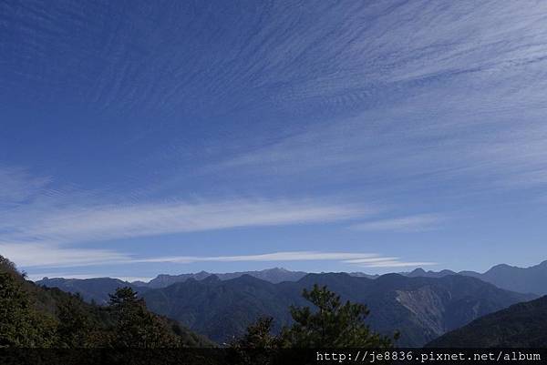 0304觀霧~雲霧步道 (23).jpg