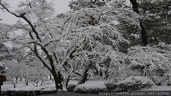 0201兼六園78相機版.jpg