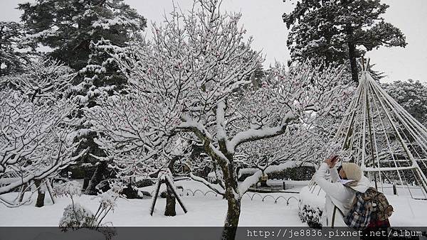 0201兼六園85相機版.jpg