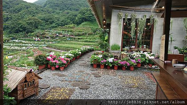 0523陽明山半日遊25.jpg