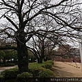 0203富山親水公園30.jpg