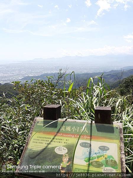 1002抹茶山40.jpg