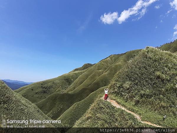 1002抹茶山49.jpg