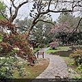 0304陽明山花季39.jpg