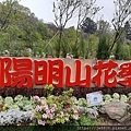 0304陽明山花季47.jpg