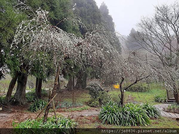 0310雪霸農場7.jpg