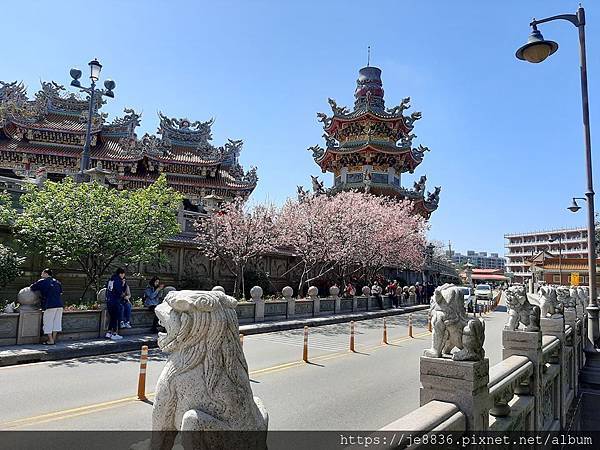 0315竹林寺櫻花14.jpg