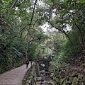 0405虎山步道7.jpg