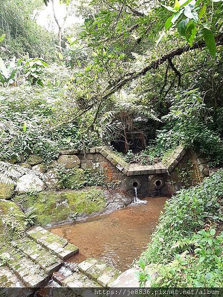 0405虎山步道19.jpg