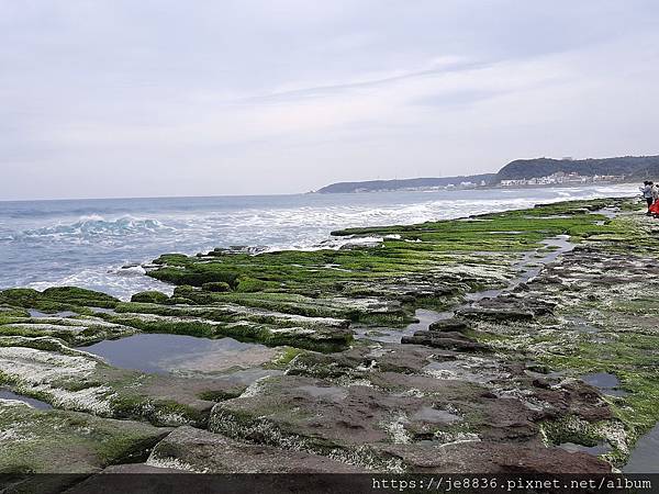 0317北海岸 (73).jpg