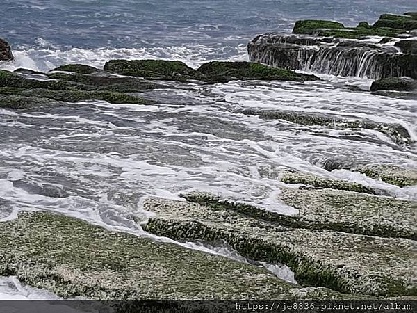 0317北海岸 (80).jpg