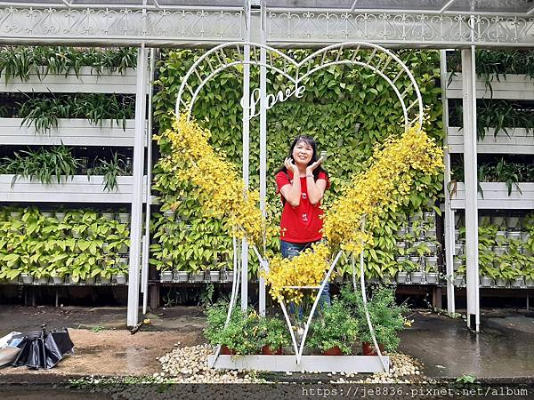 0521花露農場繡球花82.jpg