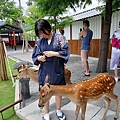 0709宜蘭三星一日遊23.jpg