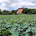 0805八仙山一日遊13.jpg