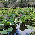 0931前山公園15.jpg