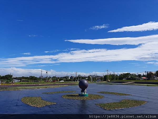 1106桃園花彩節16.jpg