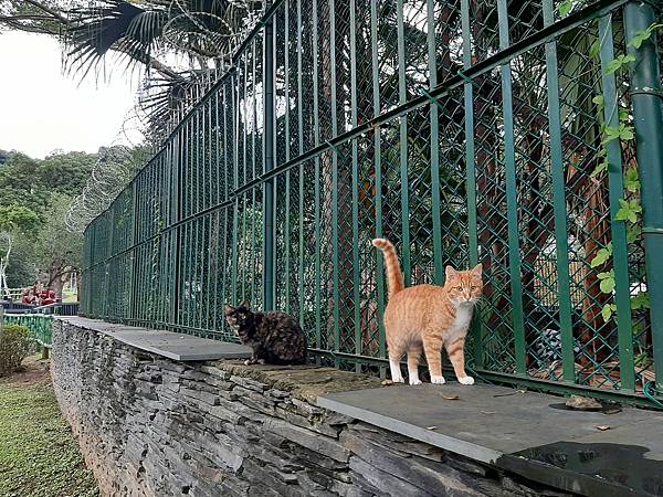 104原住民文化公園012.jpg