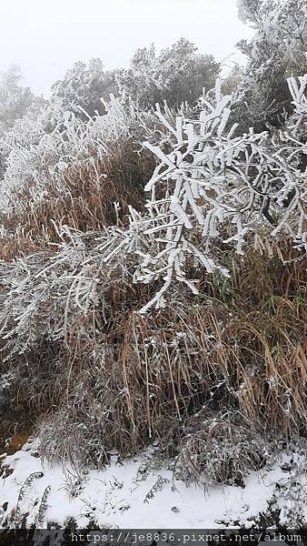 0112鳶峰玩雪26.jpg