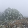 0112鳶峰玩雪32.jpg