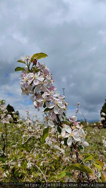 0420福壽山一日遊20.jpg