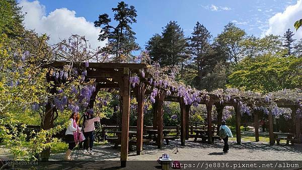 0420福壽山一日遊47.jpg