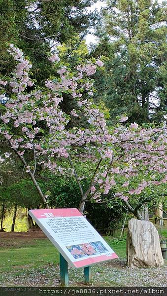 0420福壽山一日遊56.jpg