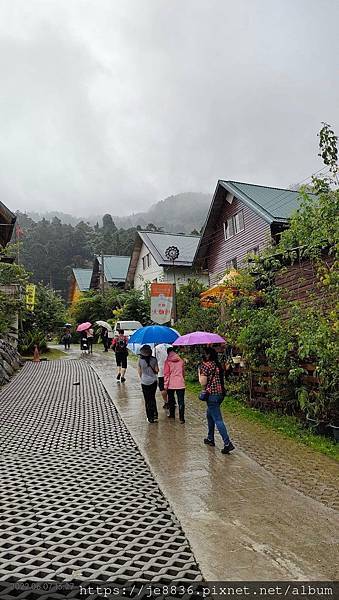 0607阿里山14.jpg