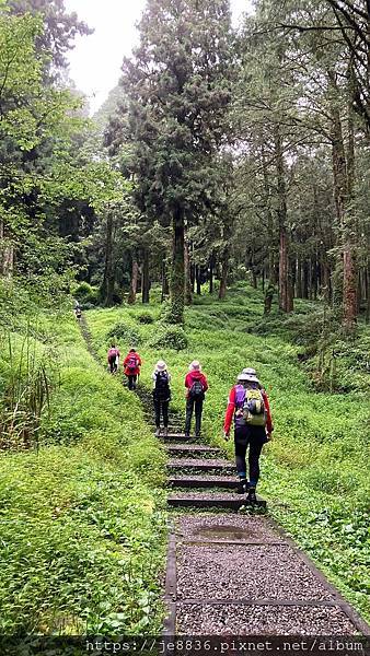 0607阿里山84.jpg